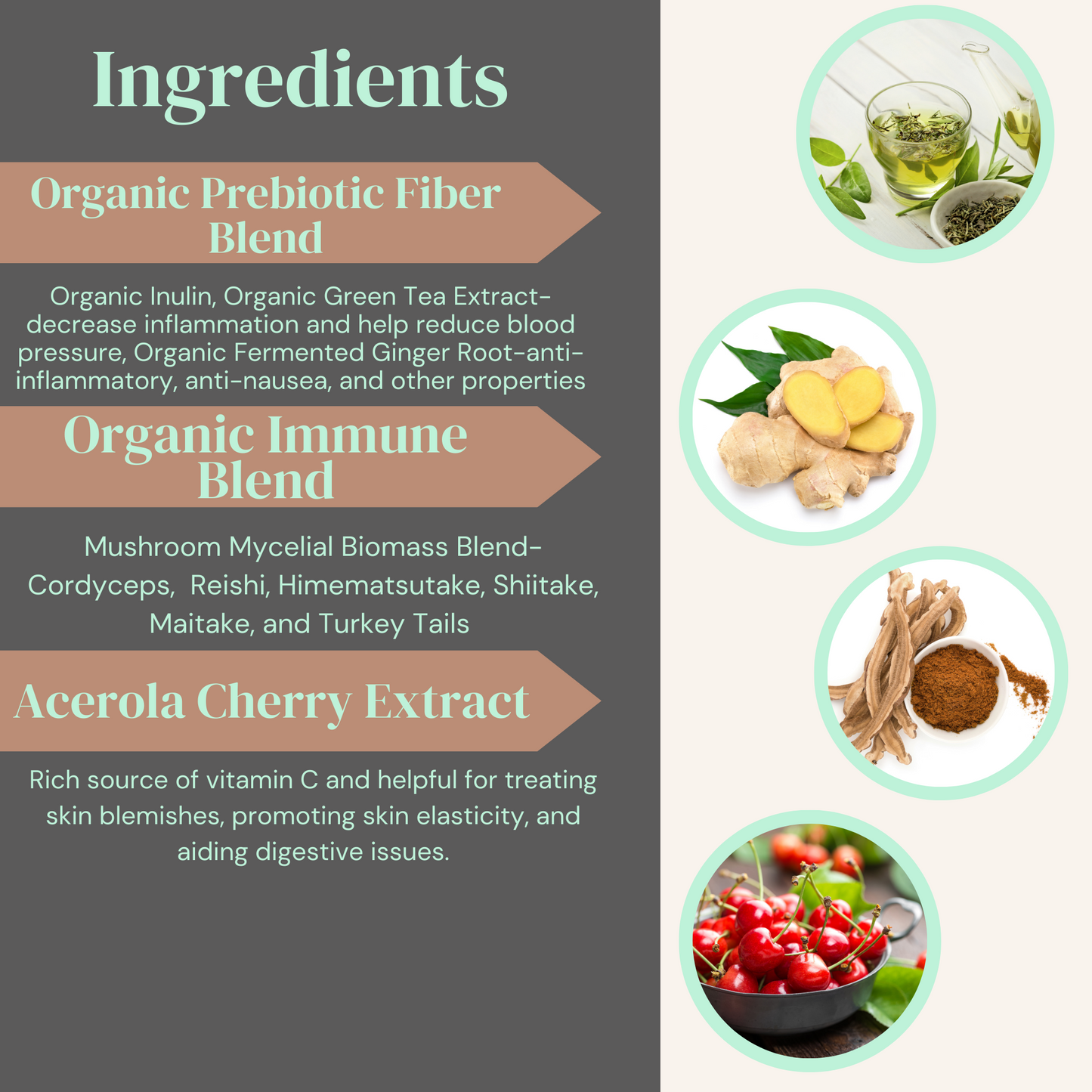 Fermented Mushroom Blend