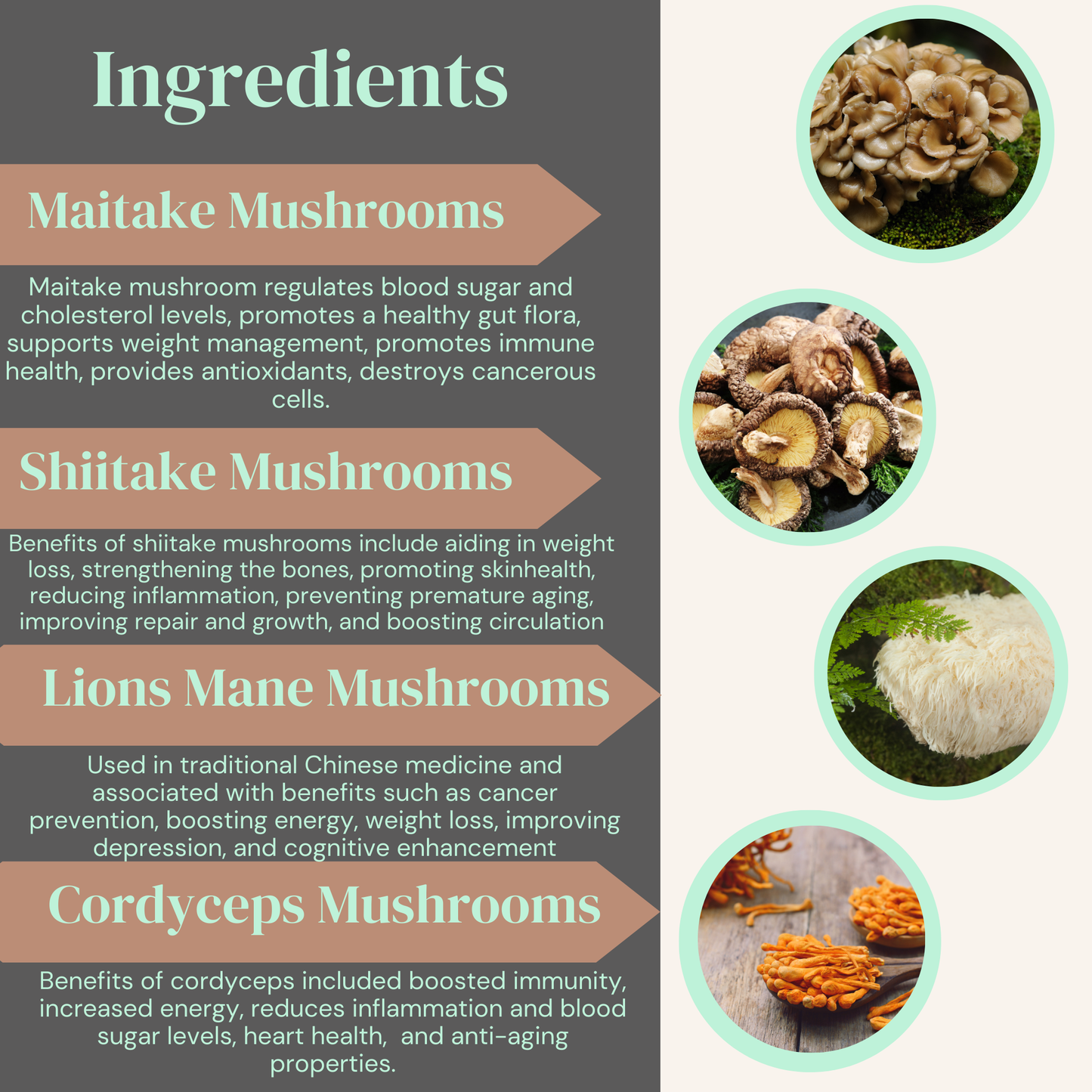 Mushroom Extract Complex