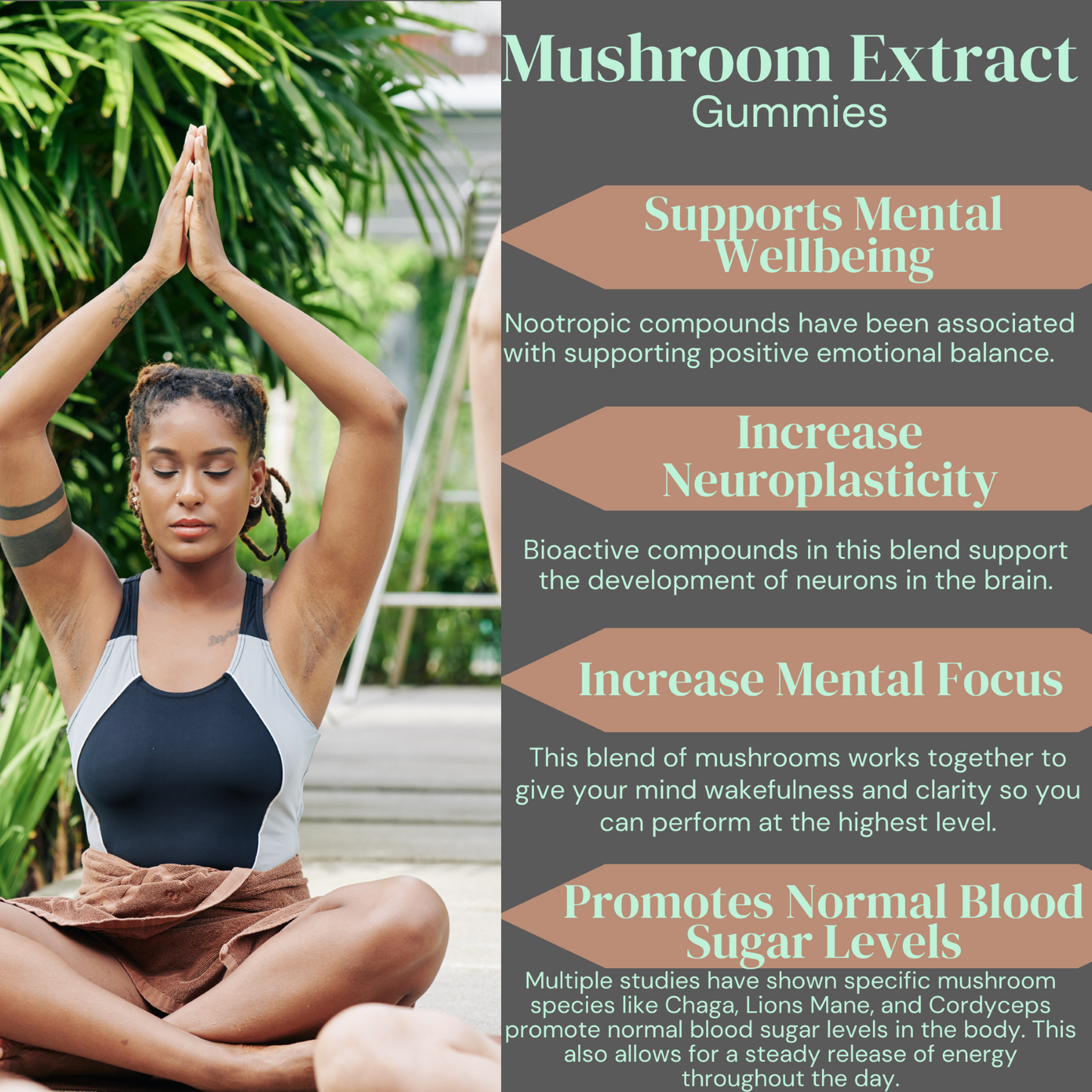 Mushroom Extract Complex